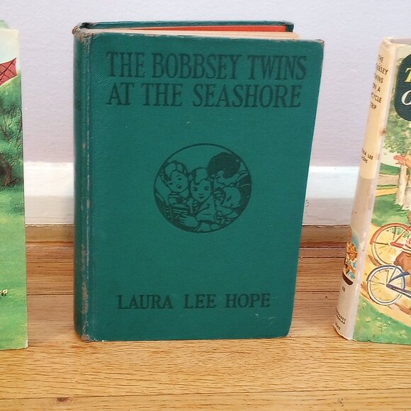 Bundle of 4 Vintage Bobbsey Twins Series books-- by Laura Lee Hope - Picture 5 of 7